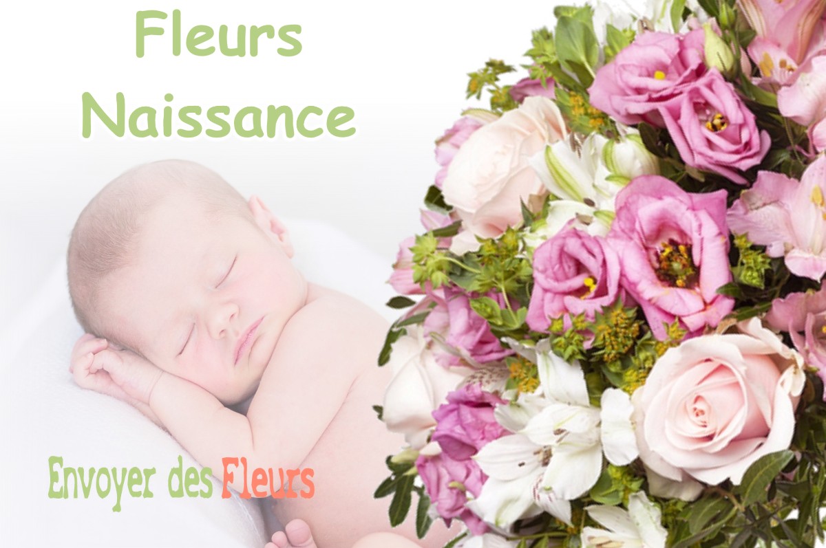 lIVRAISON FLEURS NAISSANCE à SAINT-LYE-LA-FORET